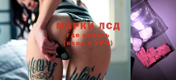 spice Мурманск