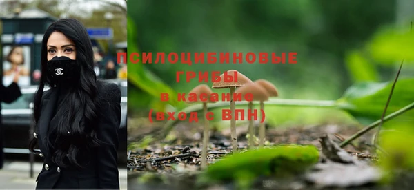дурь Магадан