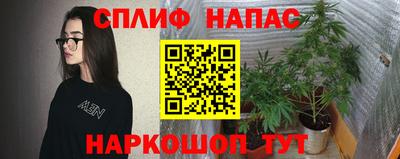 ГАЛЛЮЦИНОГЕННЫЕ ГРИБЫ Берёзовский