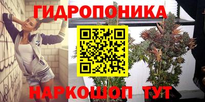 мяу мяу мука Волжск