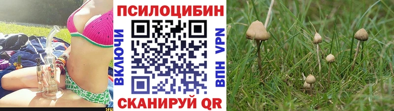 Галлюциногенные грибы мицелий  shop клад  Череповец 