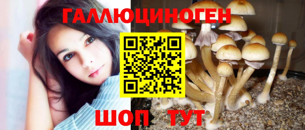 Череповец  Галлюциногенные грибы мухоморы  закладка  Вход с VPN 