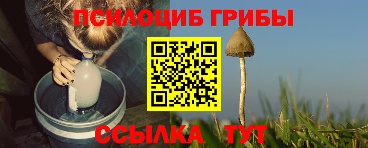 Галлюциногенные грибы GOLDEN TEACHER  Галлюциногенные грибы Magic Shrooms  Череповец 