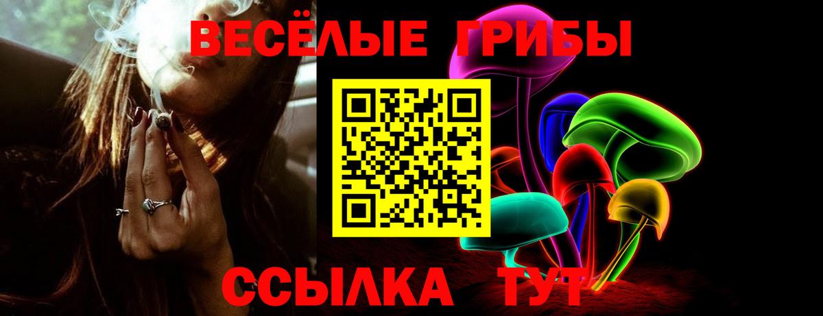 Галлюциногенные грибы Magic Shrooms Череповец